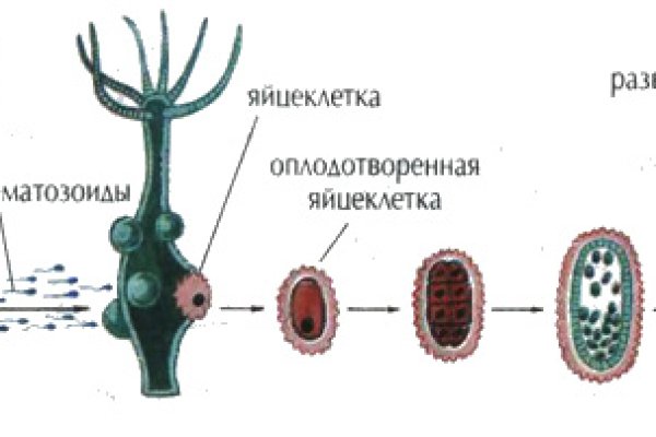 Kraken 2krn es